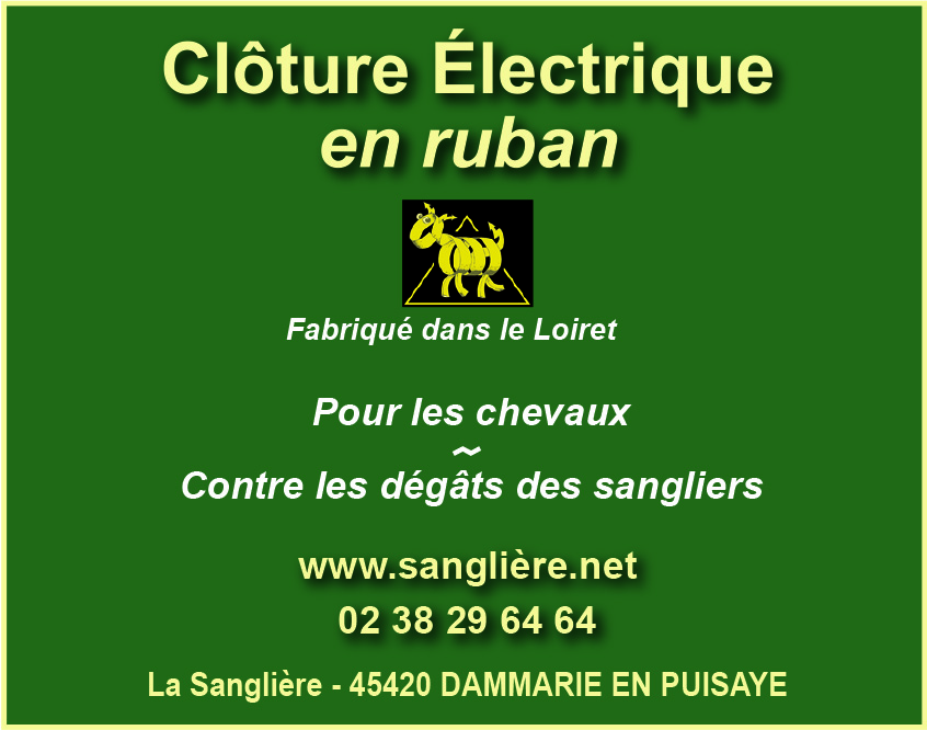 La Sanglière (clotûre électrique)